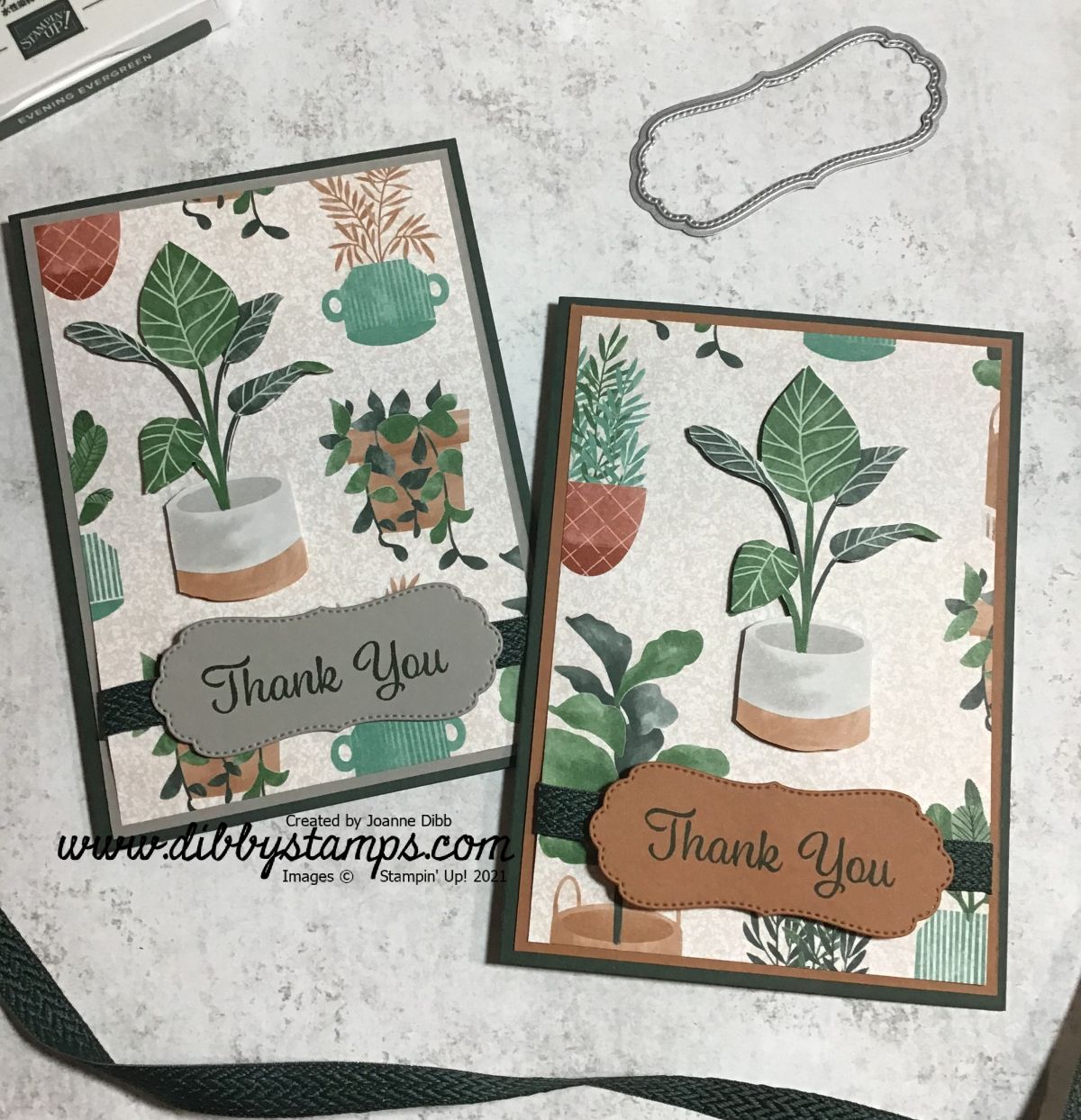 Simple Bloom Where You’re Planted Card Duo